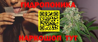 гидра Обь