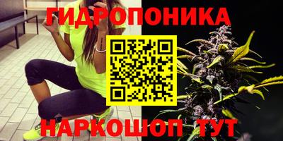 бошки Новозыбков