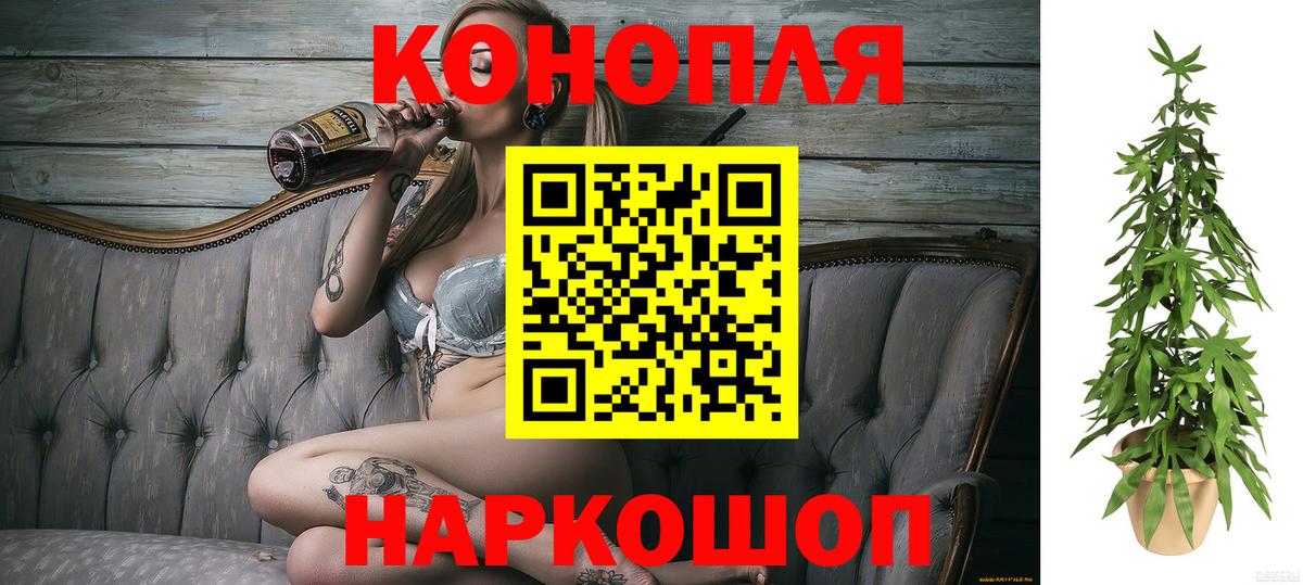Бошки Шишки семена  Вход с VPN  Бошки марихуана тримм  Тайшет  Бошки марихуана OG Kush 